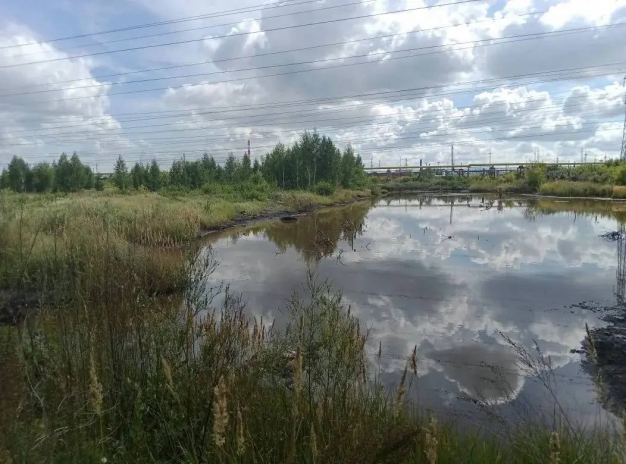 Сергей Шелест: «Намерены получить серьезные финансовые ресурсы для ликвидации двух искусственных карьеров — "лагун" — с отходами и "мыльного озера" в Советском округе»