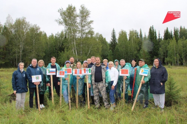 Акция «Сохраним лес» в Сибири стартовала с Омского района