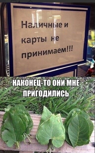 Анекдот в картинках. Выпуск от 16.08.2019