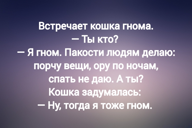 Анекдот в картинках и не только. Выпуск от 20.06.2023