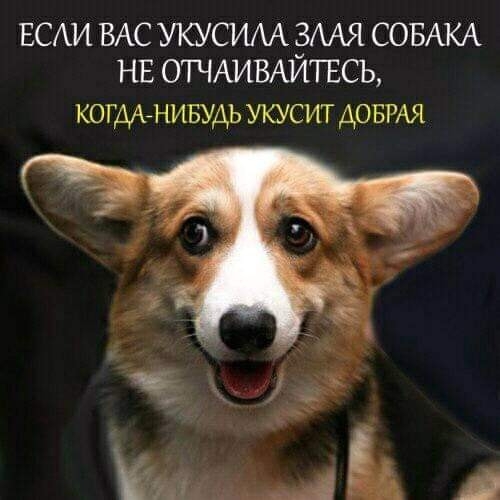 Анекдот в картинках и не только. Выпуск от 28.08.2020