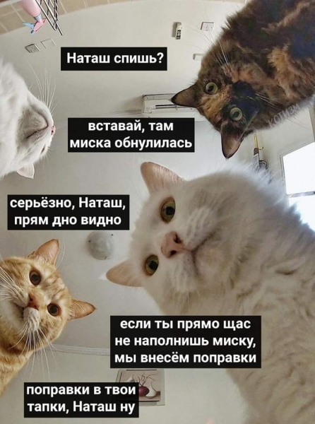 Анекдот в картинках. Выпуск от 04.07.2020