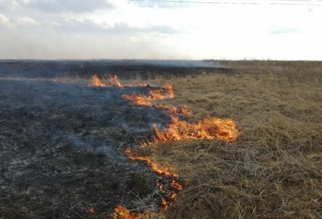 Власти Омского района мобилизуются для борьбы с огненной стихией