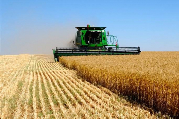 В Омске власть и бизнесмены обсудили создание зернового консорциума