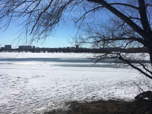 В Омске медленно начинается весеннее потепление