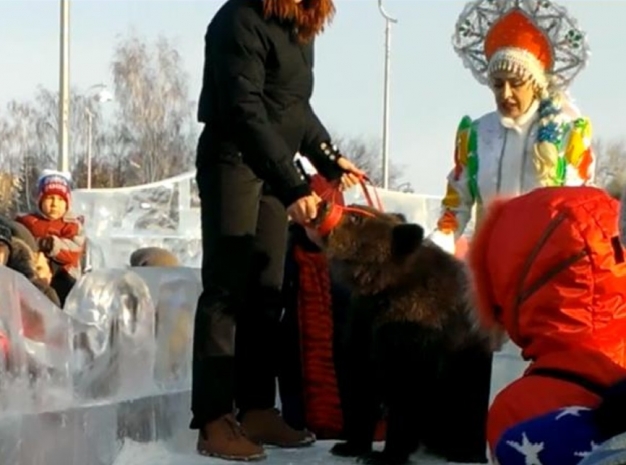 В Омске маленькая медведица прокатилась с горки 