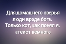 Анекдот в картинках и не только. Выпуск от 21.09.2023