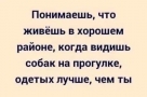 Анекдот в картинках и не только. Выпуск от 15.12.2021