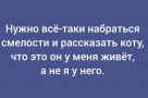 Анекдот в картинках и не только. Выпуск от 27.05.2026