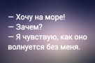 Анекдот в картинках и не только. Выпуск от 19.02.2024