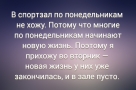 Анекдот в картинках и не только. Выпуск от 13.12.2023