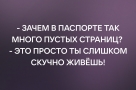 Анекдот в картинках и не только. Выпуск от 06.05.2022