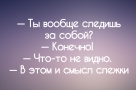 Анекдот в картинках и не только. Выпуск от 25.07.2023