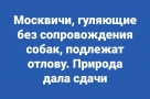 Анекдот в картинках и не только. Выпуск от 31.03.2020