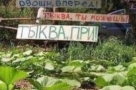 Анекдот в картинках и не только. Выпуск от 08.06.2020