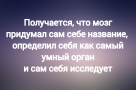 Анекдот в картинках и не только. Выпуск от 17.10.2023