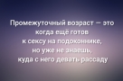 Анекдот в картинках и не только. Выпуск от 29.06.2025