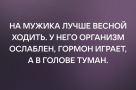 Анекдот в картинках и не только. Выпуск от 13.04.2022