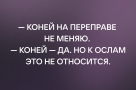 Анекдот в картинках и не только. Выпуск от 23.10.2022