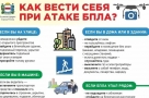 Губернатор предупредил омичей о вероятной атаке БПЛА в регионе