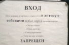Анекдот в картинках и не только. Выпуск от 09.02.2020