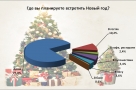 Подавляющее большинство участников опроса «ВОмске» планируют встретить Новый год дома