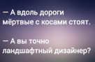 Анекдот в картинках и не только. Выпуск от 15.11.2024