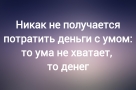 Анекдот в картинках и не только. Выпуск от 08.09.2024