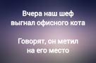 Анекдот в картинках и не только. Выпуск от 21.06.2023