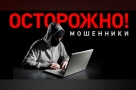 Мошенники «собирают» деньги на благоустройство омского парка и помощь Донбассу