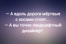 Анекдот в картинках и не только. Выпуск от 10.11.2024