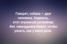 Анекдот в картинках и не только. Выпуск от 13.04.2025