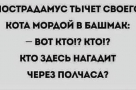 Анекдот в картинках и не только. Выпуск от 04.01.2021