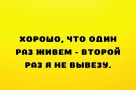 Анекдот в картинках и не только. Выпуск от 03.08.2022