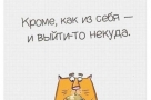 Анекдот в картинках и не только. Выпуск от 02.04.2020