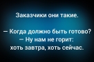 Анекдот в картинках и не только. Выпуск от 30.01.2026