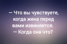 Анекдот в картинках и не только. Выпуск от 10.12.2024