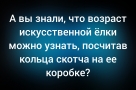 Анекдот в картинках и не только. Выпуск от 15.12.2025