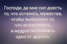 Анекдот в картинках и не только. Выпуск от 07.01.2024