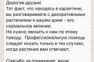Анекдот в картинках. Выпуск от 28.03.2020