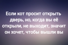 Анекдот в картинках и не только. Выпуск от 25.11.2023