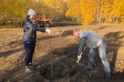 Освоение территории на Левом берегу начали с посадки деревьев 