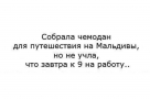 Анекдот в картинках и не только. Выпуск от 13.04.2023