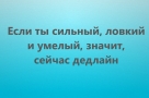 Анекдот в картинках и не только. Выпуск от 10.08.2021