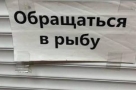 Анекдот в картинках и не только. Выпуск от 08.10.2023