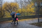 В Омске ожидаются ветреные и дождливые выходные