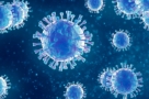 Изменился ли ваш жизненный распорядок в связи с коронавирусом?