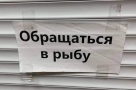 Анекдот в картинках и не только. Выпуск от 21.04.2023