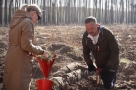 В Красноярке на месте сгоревшего бора заложили новый Сад памяти