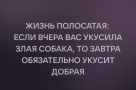 Анекдот в картинках и не только. Выпуск от 25.06.2022